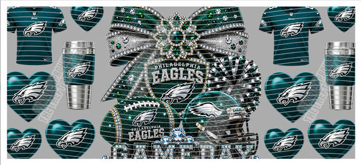 16oz team-NFL 3524